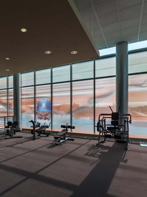 Vision Glass Gym