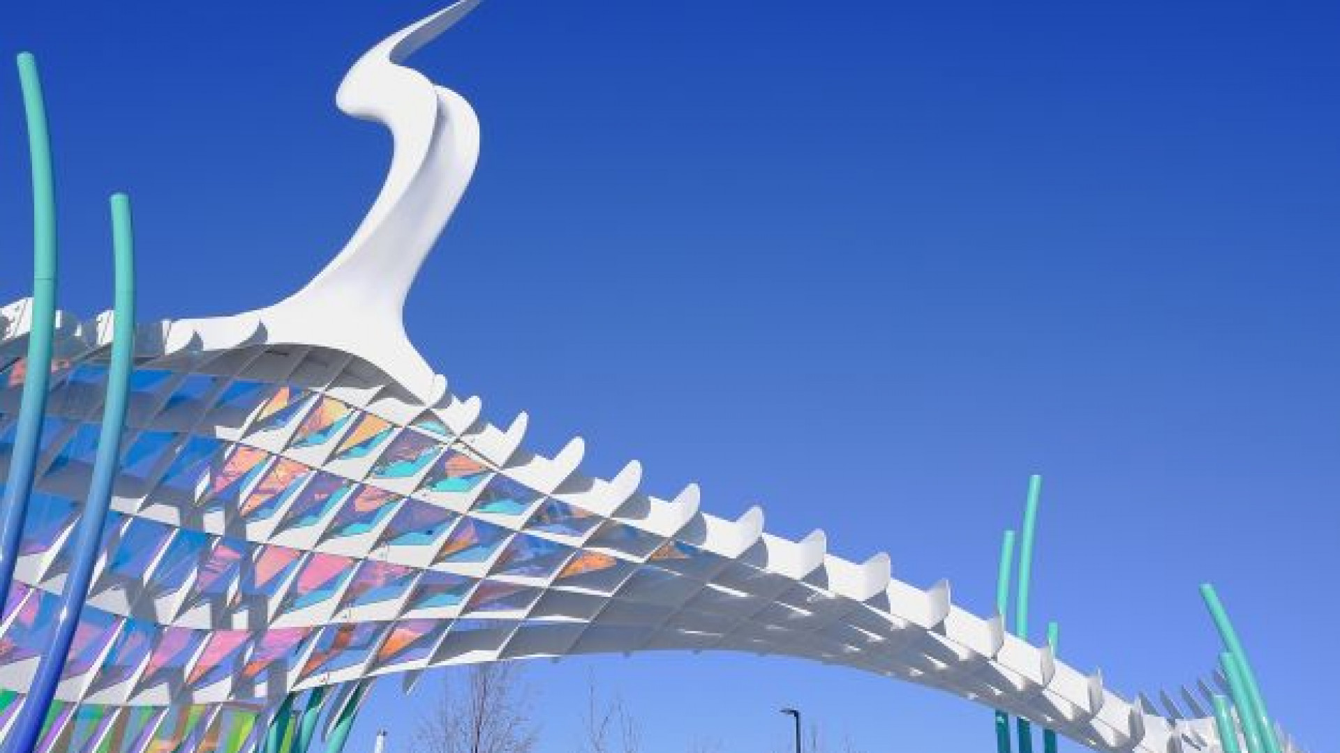 Crane Township Calgary Dichroic RonEliovitz 9